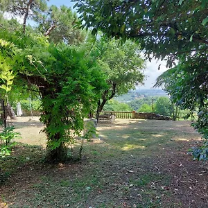  Πανσιόν Casa Di Giulietta Vicenza Ιταλία